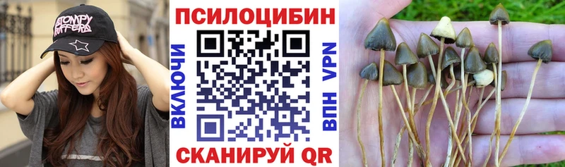 Псилоцибиновые грибы мицелий Мирный