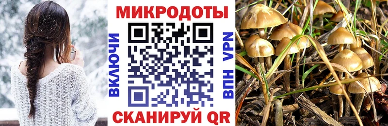 Купить где  Мирный  Галлюциногенные грибы Psilocybine cubensis 