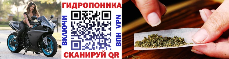 Шишки марихуана OG Kush  Купить  Мирный 